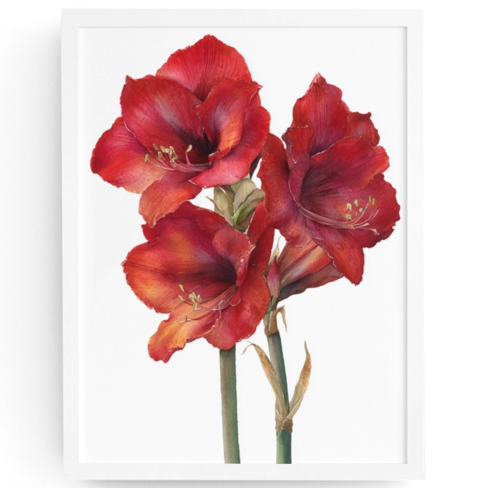 Watercolor Red Amaryllis Flower Bouquet Wall Art Print Poster, Unframed